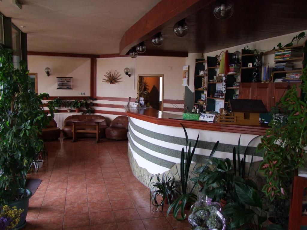 Hotel Silva Vatra Dornei Esterno foto